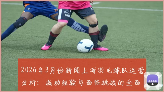 2026年3月份新闻上海羽毛球队运营分析：成功经验与面临挑战的全面探讨