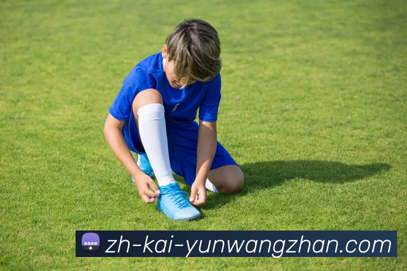 企业概况